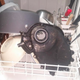 Image for article titled Do Not Wash Greasy Car Parts In Your Dishwasher